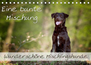 Eine bunte Mischung – wunderschöne Mischlingshunde / Geburtstagskalender (Tischkalender 2023 DIN A5 quer) von Noack,  Nicole