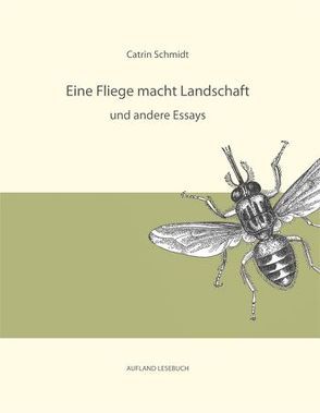 Eine Fliege macht Landschaft und andere Essays von Schmidt,  Catrin
