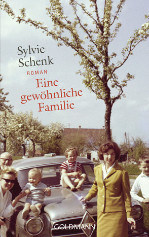 Eine gewöhnliche Familie von Schenk,  Sylvie