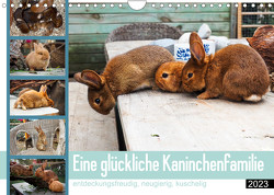 Eine glückliche Kaninchenfamilie (Wandkalender 2023 DIN A4 quer) von Maas,  Christoph