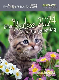 Eine Katze für jeden Tag 2024 – Tagesabreißkalender zum Aufstellen oder Aufhängen
