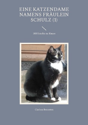 Eine Katzendame namens Fräulein Schulz von Benneten,  Clarissa