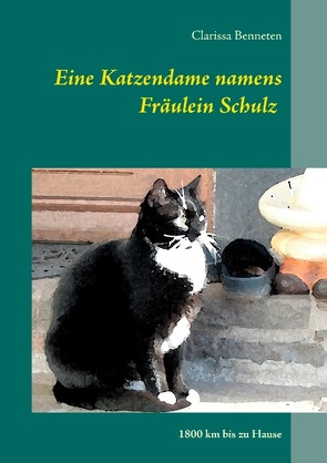 Eine Katzendame namens Fräulein Schulz von Benneten,  Clarissa