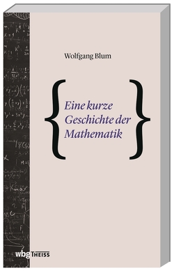 Eine kurze Geschichte der Mathematik von Blum,  Wolfgang