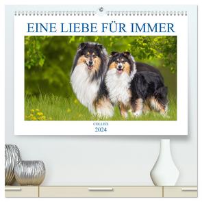 Eine Liebe für immer – Collies (hochwertiger Premium Wandkalender 2024 DIN A2 quer), Kunstdruck in Hochglanz von Starick,  Sigrid