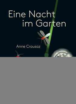 Eine Nacht im Garten von Crausaz,  Anne
