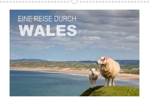 Eine Reise durch Wales (Wandkalender 2023 DIN A3 quer) von Steiner & Günter Hofmann,  Ingrid