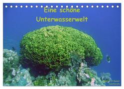 Eine schöne Unterwasserwelt (Tischkalender 2024 DIN A5 quer), CALVENDO Monatskalender von Bauch,  Dorothee