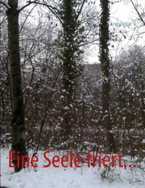 Eine Seele friert… von V.,  Angelique