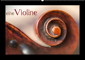 eine Violine (Wandkalender 2023 DIN A2 quer) von calmbacher,  Christiane