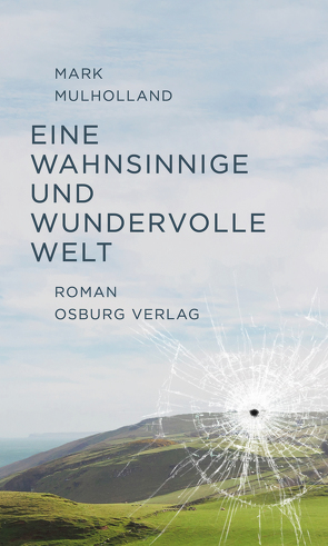 Eine wahnsinnige und wundervolle Welt. Roman von Mulholland,  Mark