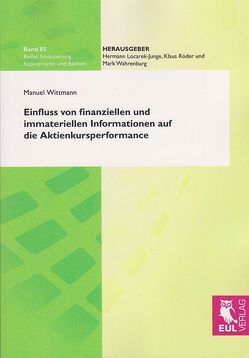 Einfluss von finanziellen und immateriellen Informationen auf die Aktienkursperformance von Wittmann,  Manuel