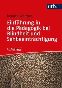 Einführung in die Pädagogik bei Blindheit und Sehbeeinträchtigung von Walthes,  Renate