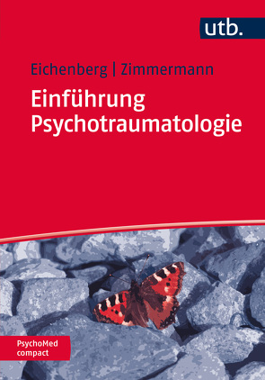 Einführung Psychotraumatologie von Eichenberg,  Christiane, Zimmermann,  Peter