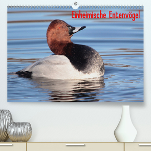 Einheimische Entenvögel (Premium, hochwertiger DIN A2 Wandkalender 2021, Kunstdruck in Hochglanz) von Erlwein,  Winfried