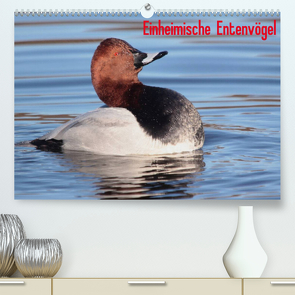 Einheimische Entenvögel (Premium, hochwertiger DIN A2 Wandkalender 2022, Kunstdruck in Hochglanz) von Erlwein,  Winfried
