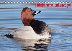 Einheimische Entenvögel (Tischkalender 2022 DIN A5 quer) von Erlwein,  Winfried