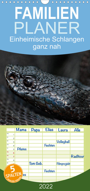 Einheimische Schlangen ganz nah – Familienplaner hoch (Wandkalender 2022 , 21 cm x 45 cm, hoch) von Dummermuth,  Stefan