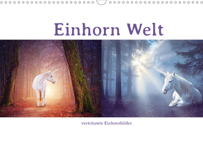 Einhorn Welt – verträumte Einhornbilder (Wandkalender 2020 DIN A3 quer) von Brunner-Klaus,  Liselotte