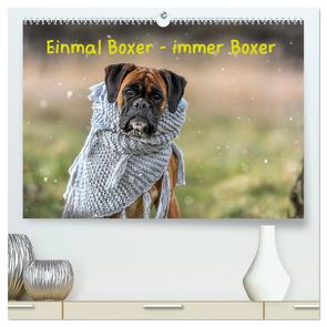 Einmal Boxer – immer Boxer (hochwertiger Premium Wandkalender 2024 DIN A2 quer), Kunstdruck in Hochglanz von Janetzek,  Yvonne