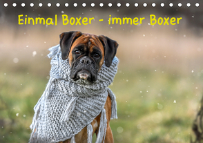 Einmal Boxer – immer Boxer (Tischkalender 2020 DIN A5 quer) von Janetzek,  Yvonne