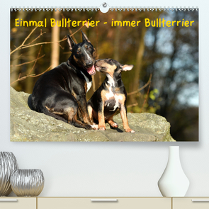 Einmal Bullterrier – immer Bullterrier (Premium, hochwertiger DIN A2 Wandkalender 2020, Kunstdruck in Hochglanz) von Janetzek,  Yvonne