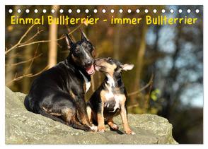 Einmal Bullterrier – immer Bullterrier (Tischkalender 2024 DIN A5 quer), CALVENDO Monatskalender von Janetzek,  Yvonne