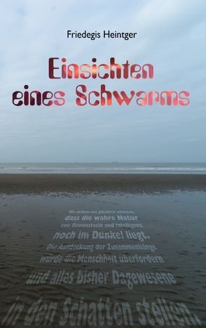 Einsichten eines Schwarms von Heintger,  Friedegis