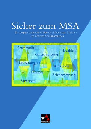 Einzelbände Deutsch / Sicher zum MSA von Grützner,  Ulrike, Högemann,  Claudia