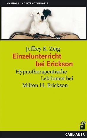 Einzelunterricht bei Erickson von Lesch,  Martina, Zeig,  Jeffrey K