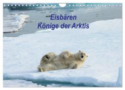 Eisbären – Könige der Arktis (Wandkalender 2024 DIN A4 quer), CALVENDO Monatskalender von Springer,  Heike