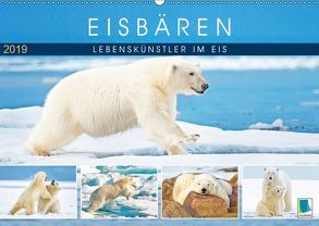 Eisbären: Lebenskünstler im Eis (Wandkalender 2019 DIN A2 quer) von CALVENDO