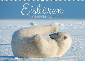 Eisbären: Lebenskünstler im Eis (Wandkalender 2022 DIN A2 quer) von CALVENDO