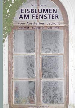 Eisblumen am Fenster von Bramm,  Bernd