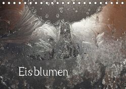 Eisblumen (Tischkalender 2019 DIN A5 quer) von Essbach,  Günther