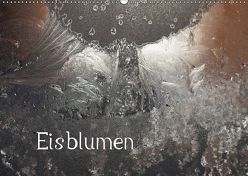 Eisblumen (Wandkalender 2018 DIN A2 quer) von Essbach,  Günther