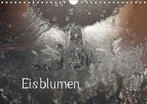 Eisblumen (Wandkalender 2019 DIN A4 quer) von Essbach,  Günther