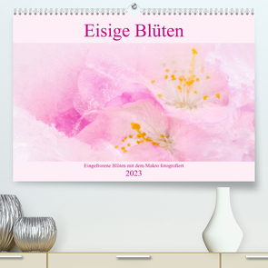 Eisige Blüten (Premium, hochwertiger DIN A2 Wandkalender 2023, Kunstdruck in Hochglanz) von Scheurer,  Monika
