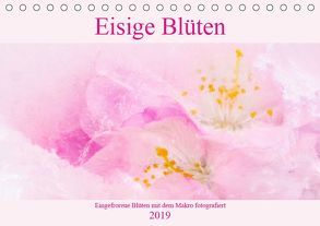 Eisige Blüten (Tischkalender 2019 DIN A5 quer) von Scheurer,  Monika