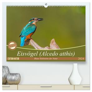 Eisvögel (Alcedo atthis) – Edelsteine der Natur (hochwertiger Premium Wandkalender 2024 DIN A2 quer), Kunstdruck in Hochglanz von Di Chito,  Ursula