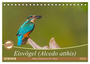 Eisvögel (Alcedo atthis) – Edelsteine der Natur (Tischkalender 2024 DIN A5 quer), CALVENDO Monatskalender von Di Chito,  Ursula