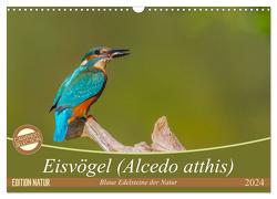 Eisvögel (Alcedo atthis) – Edelsteine der Natur (Wandkalender 2024 DIN A3 quer), CALVENDO Monatskalender von Di Chito,  Ursula