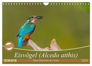 Eisvögel (Alcedo atthis) – Edelsteine der Natur (Wandkalender 2024 DIN A4 quer), CALVENDO Monatskalender von Di Chito,  Ursula