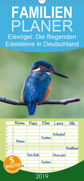 Eisvögel – Die fliegenden Edelsteine in Deutschland – Familienplaner hoch (Wandkalender 2019 , 21 cm x 45 cm, hoch) von Will,  Thomas