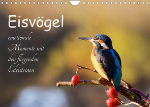 Eisvögel – emotionale Momente mit den fliegenden Edelsteinen (Wandkalender 2022 DIN A4 quer) von Kalanke,  Jens