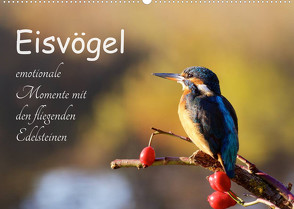 Eisvögel – emotionale Momente mit den fliegenden Edelsteinen (Wandkalender 2023 DIN A2 quer) von Kalanke,  Jens