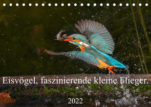 Eisvögel, faszinierende kleine Flieger. (Tischkalender 2022 DIN A5 quer) von von der Heyde,  Wiebke