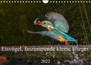 Eisvögel, faszinierende kleine Flieger. (Wandkalender 2022 DIN A4 quer) von von der Heyde,  Wiebke