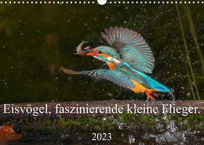 Eisvögel, faszinierende kleine Flieger. (Wandkalender 2023 DIN A3 quer) von von der Heyde,  Wiebke