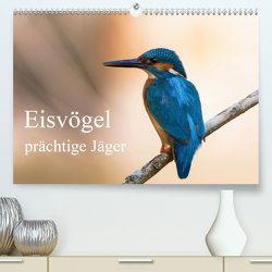 Eisvögel – prächtige Jäger (Premium, hochwertiger DIN A2 Wandkalender 2021, Kunstdruck in Hochglanz) von Alberer,  Thomas